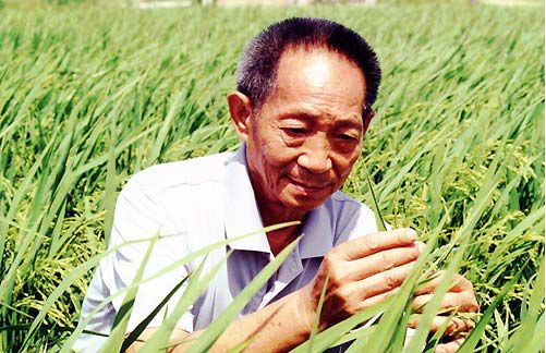 “共和国勋章”获得者——袁隆平