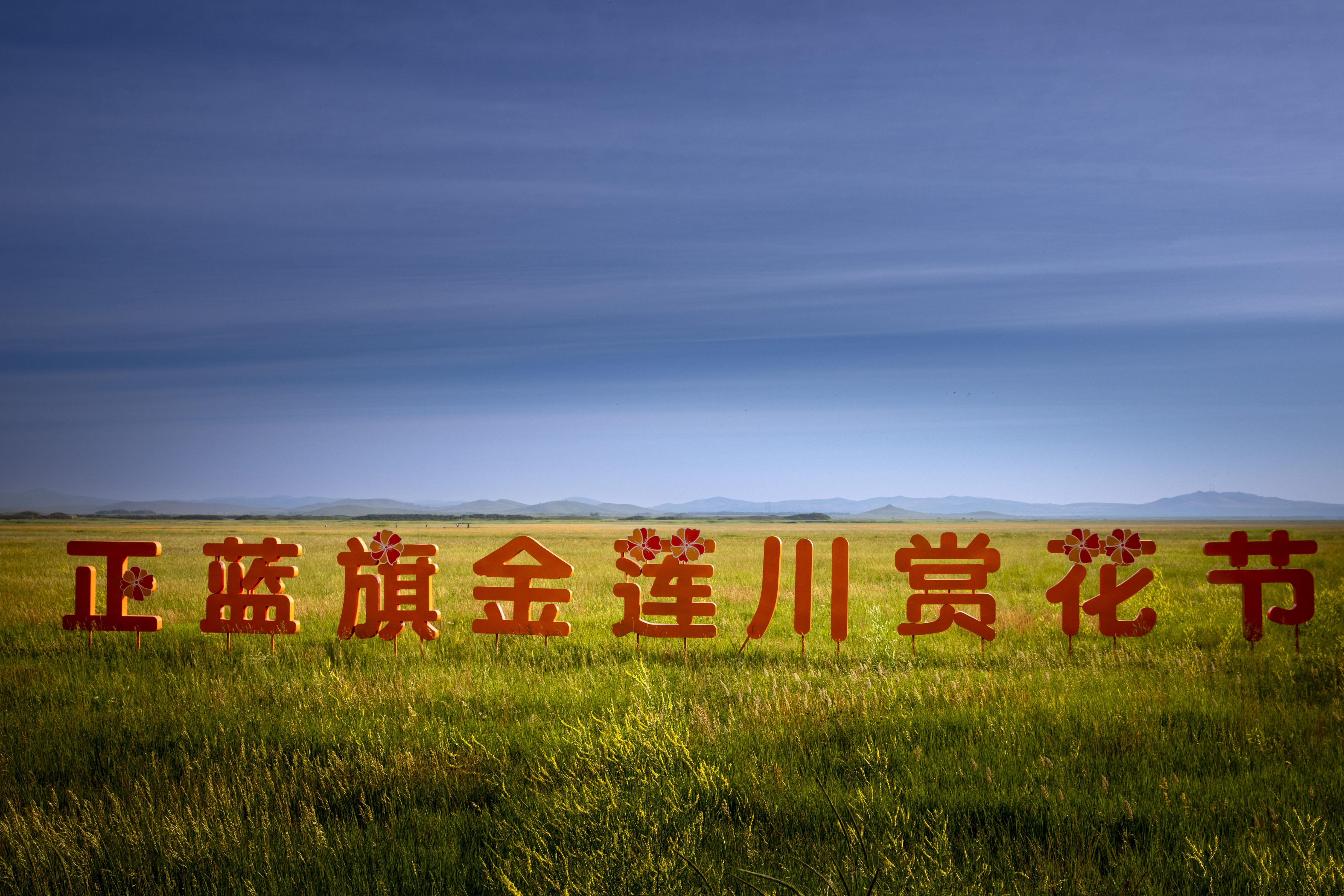 “赏金莲川花海 品正蓝旗奶酪 ”—2022正蓝旗金莲川赏花节开幕-图片1