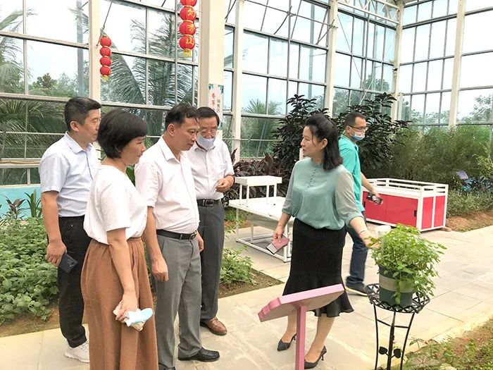 海南省侨联主席黎才旺率队调研侨企合作项目复工复产情况-图片1