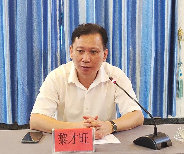 海南省侨联主席黎才旺率队调研侨企合作项目复工复产情况-图片3