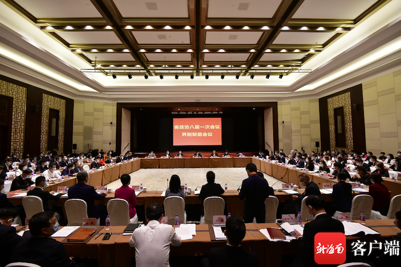 两会好声音 | 海南省政协委员陈菲菲：让海南自贸港政策“走出去” 将海外乡亲“请进来”-图片1