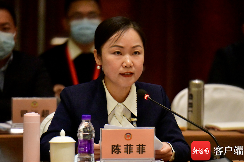 两会好声音 | 海南省政协委员陈菲菲：让海南自贸港政策“走出去” 将海外乡亲“请进来”-图片2