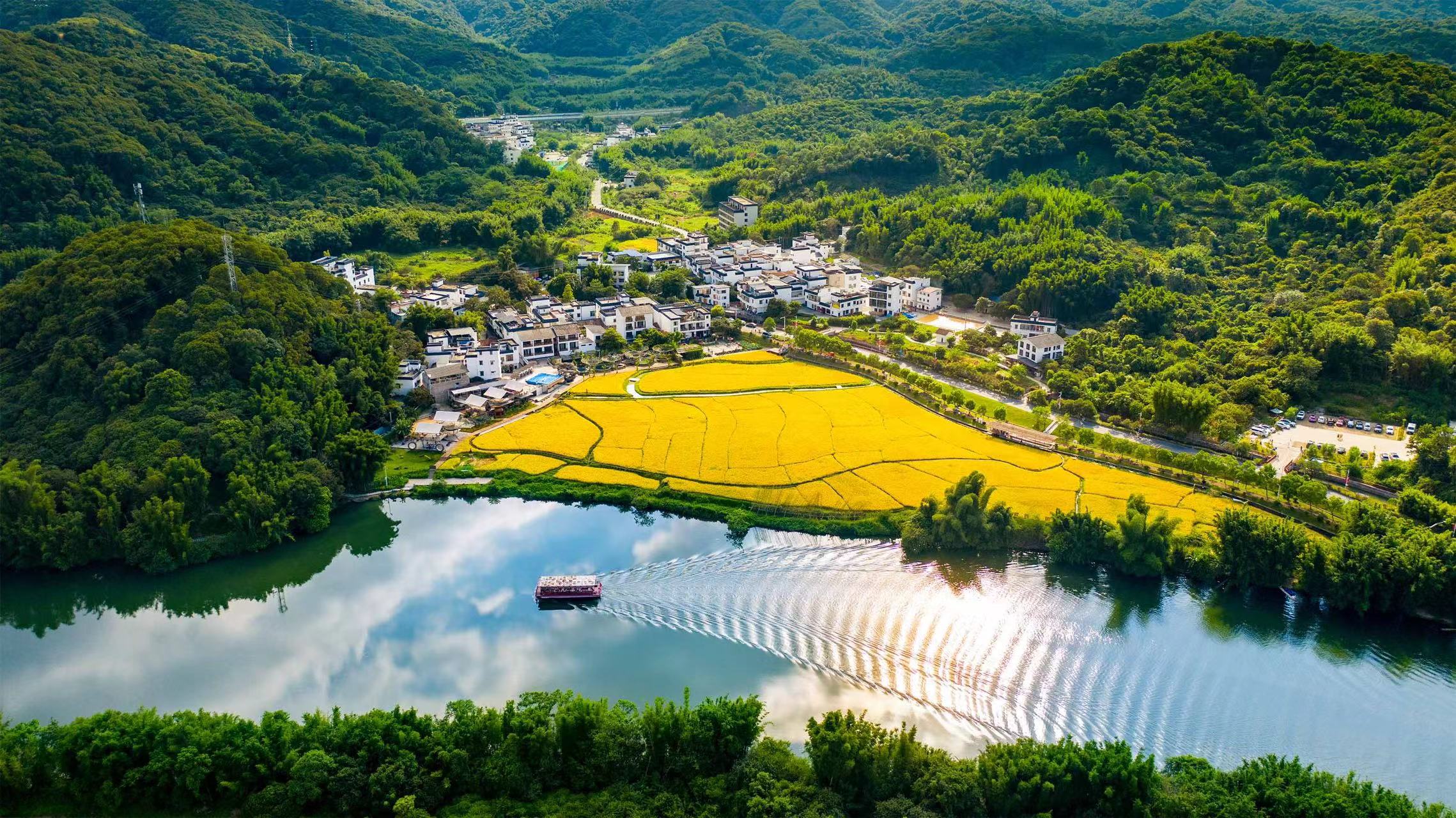 广州美丽乡村建设提质升级 已基本建成7条精品新乡村示范带