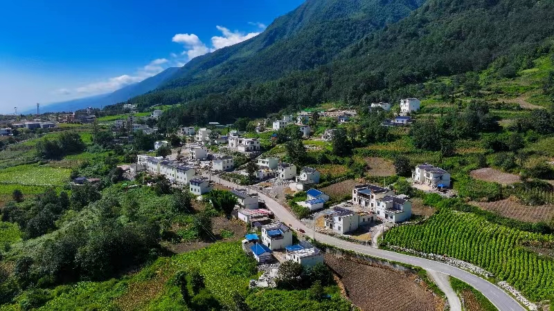 以集体经济为转轴，实现德育村民喜分红-图片3