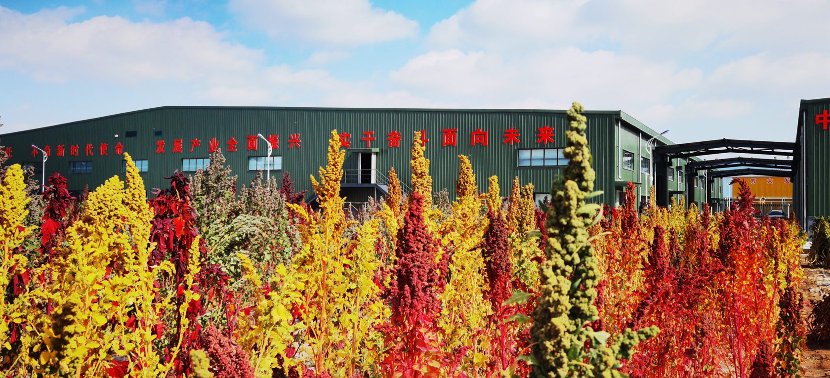 济南历城区文旅局邀请记者走进甘肃：发现东乡县6宝-图片6