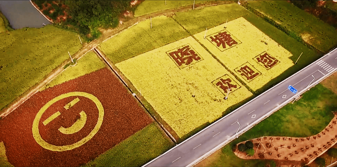 初冬象山红美人开摘了，读洪紫千“双红双绿”感受人间暖春-图片3