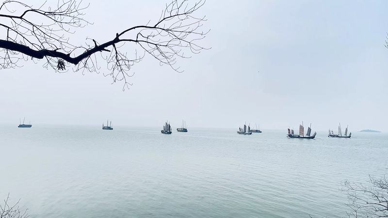 浪漫樱花节 多彩鼋头渚-图片6