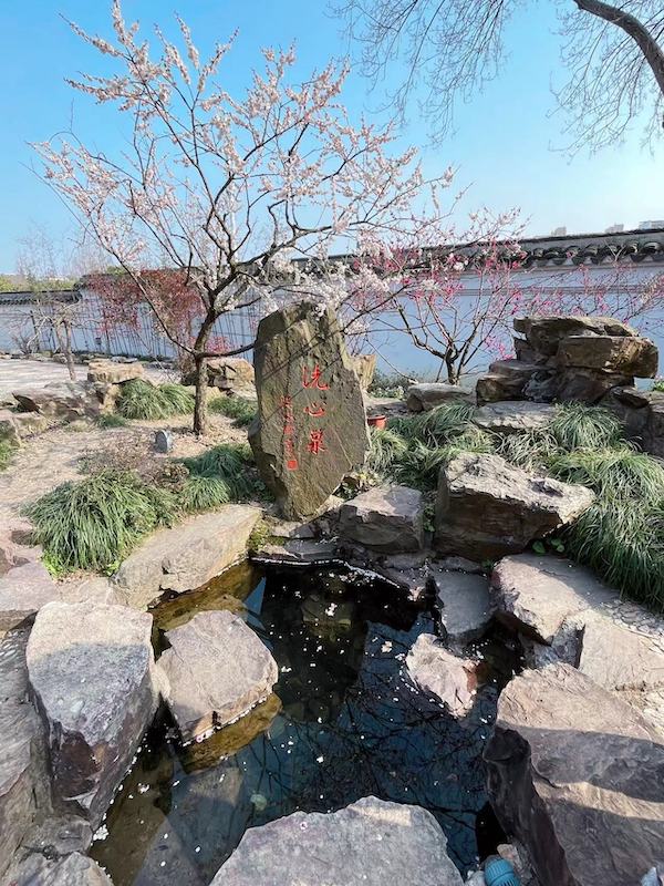 梅香溢出春意浓， 园门轻掩色难封｜海外华文媒体感知无锡行参访无锡梅园-图片4