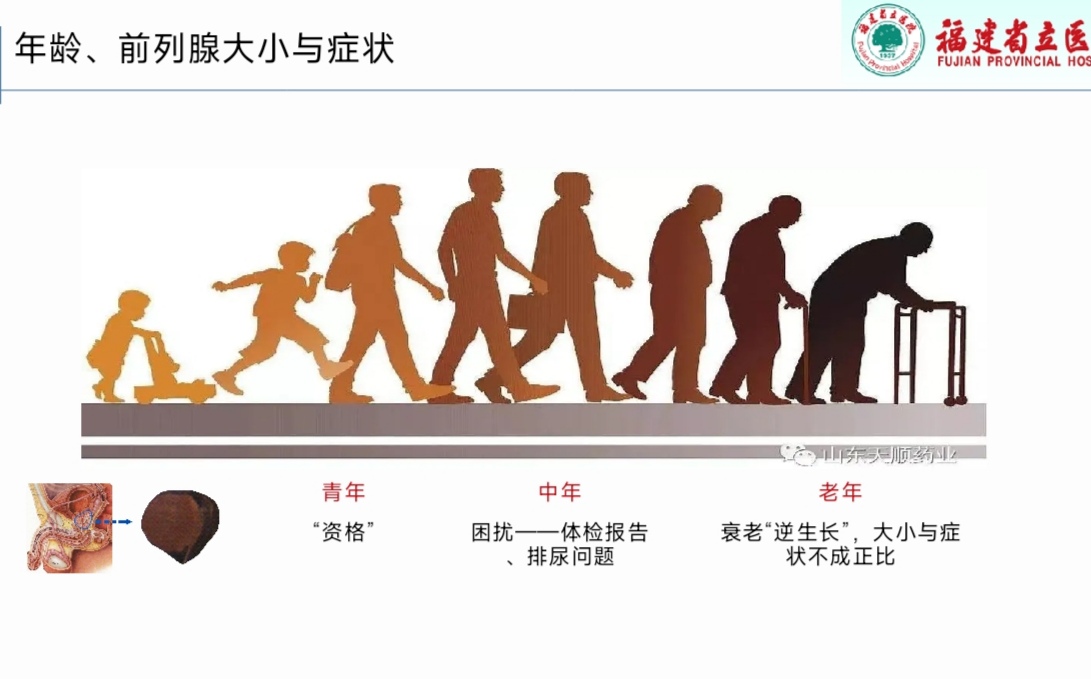 复旦大学福建校友会举办第二期卿云沙龙——“全家健康 幸福起航”健康科普讲座-图片6