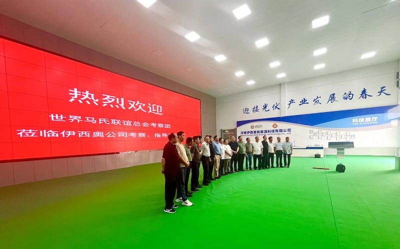 世界马氏联谊总会到河南商丘调研考察-图片17