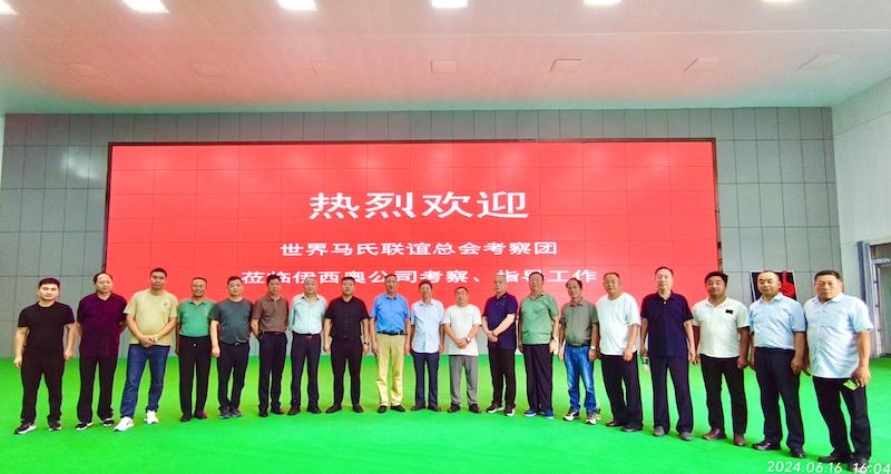 世界马氏联谊总会到河南商丘调研考察-图片19