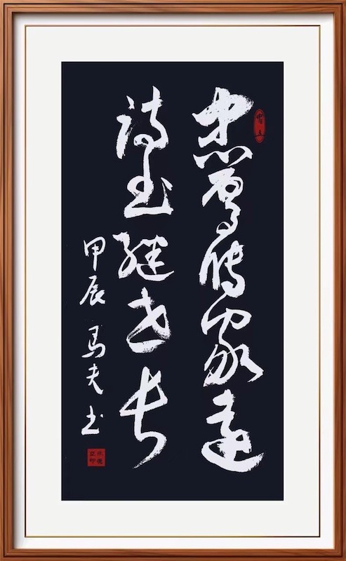 世界马氏联谊总会到河南商丘调研考察-图片34
