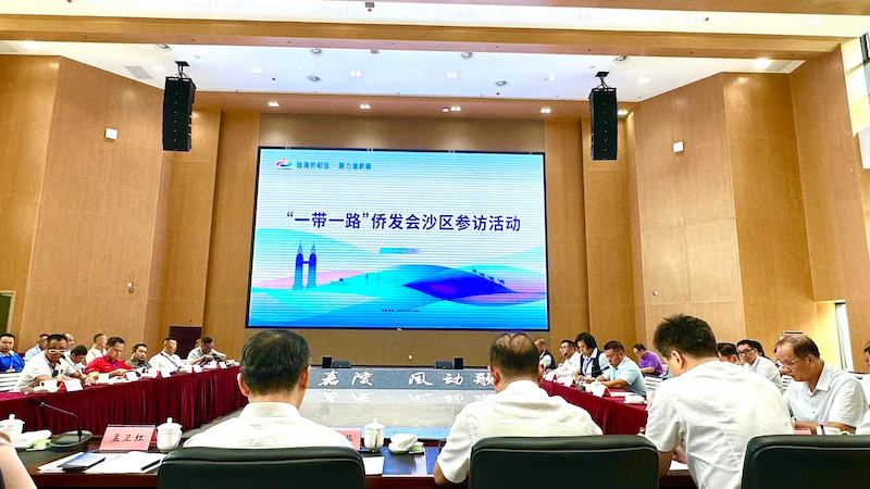 “一带一路”侨商合作发展大会在重庆开幕-图片8