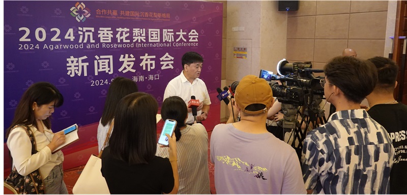 2024沉香花梨国际大会新闻发布会海口举办-图片3