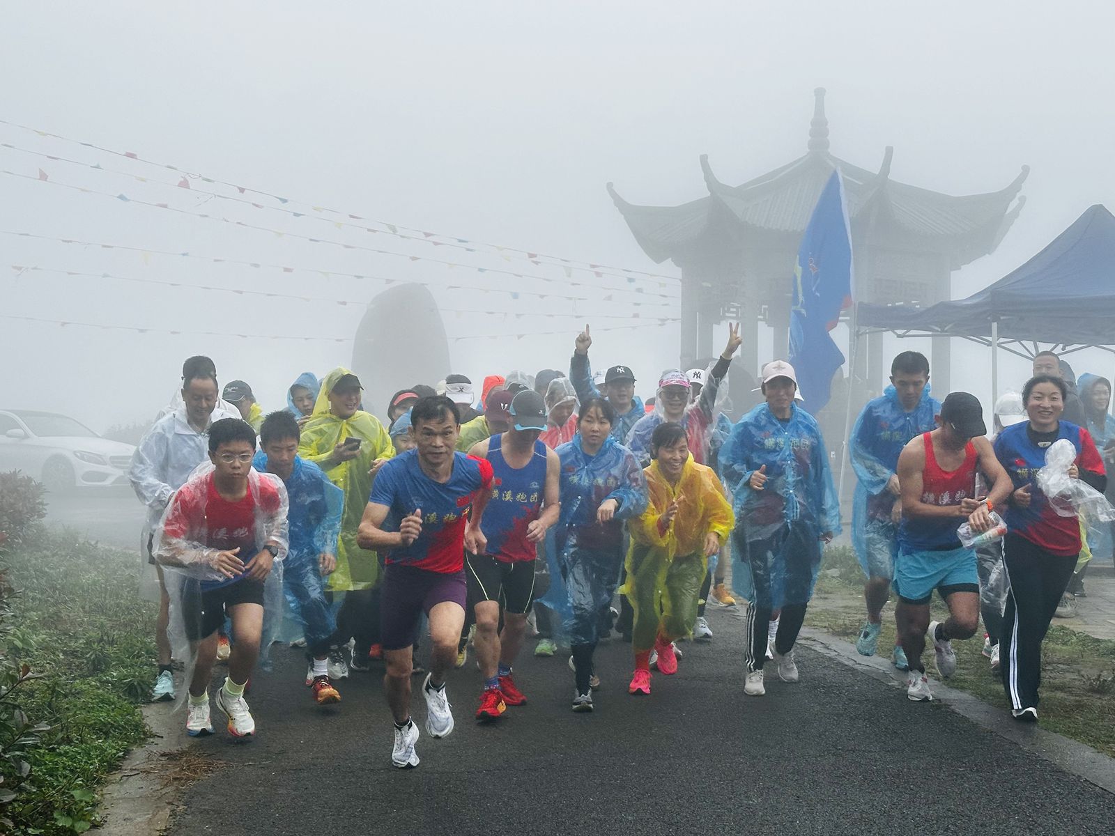 宁波杨山村旅游节启航 生态红茶绽放光彩-图片3