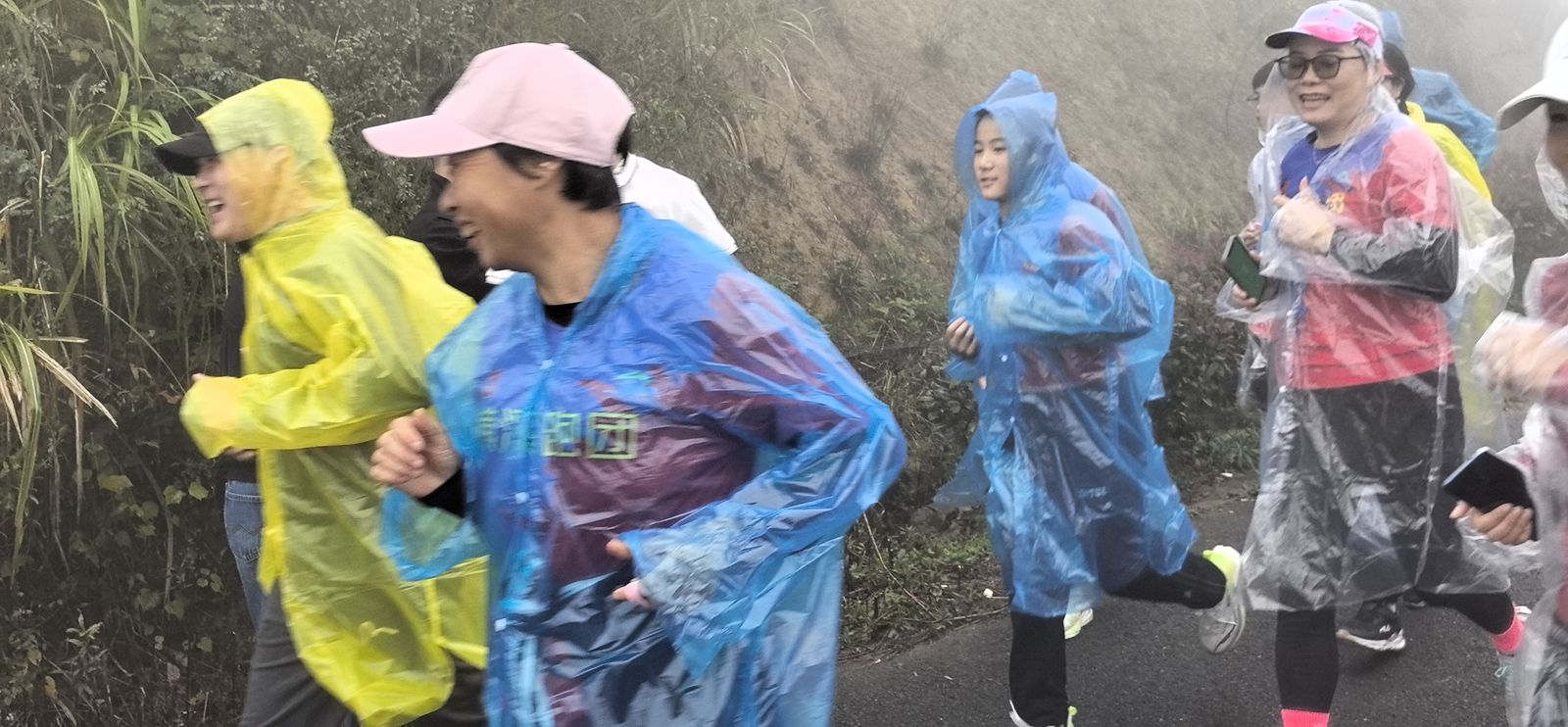 宁波杨山村旅游节启航 生态红茶绽放光彩-图片10