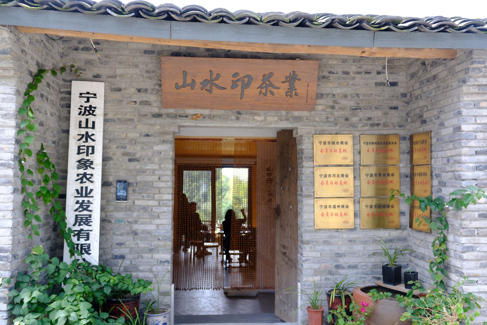 宁波杨山村旅游节启航 生态红茶绽放光彩-图片8
