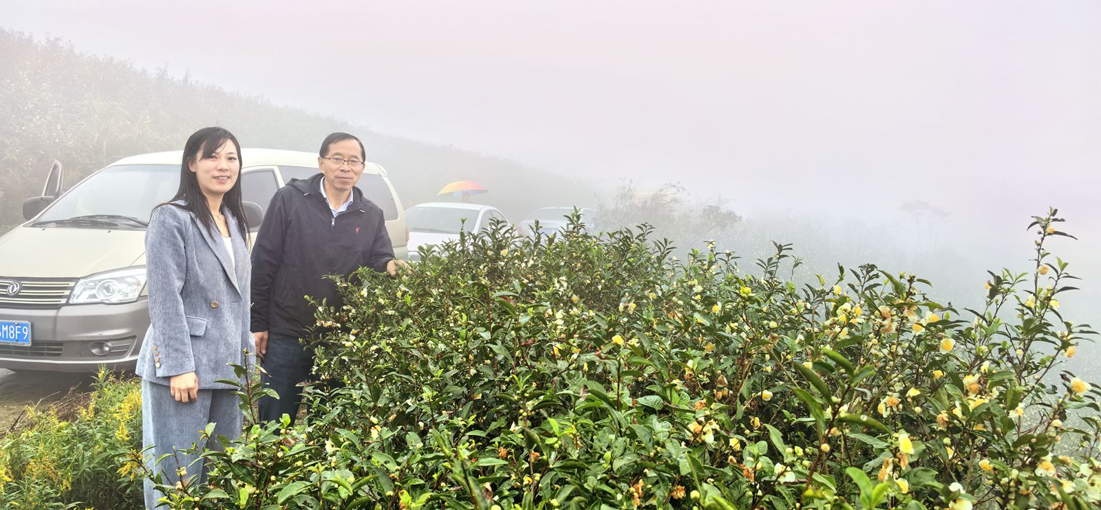 宁波杨山村旅游节启航 生态红茶绽放光彩-图片7