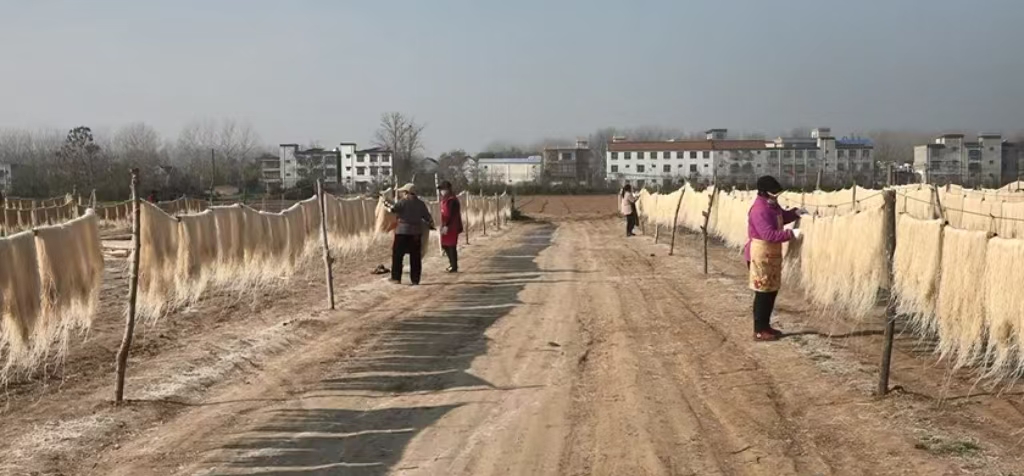 河南太康：粉条变“金条” 搭起致富桥