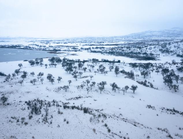 内蒙古正蓝旗：2025浑善达克冰雪节即将重磅来袭-图片3