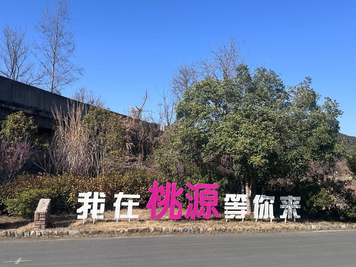 守护千年家族祭祀文化的传承者:专访国家级非遗传承人陈敦和-图片1