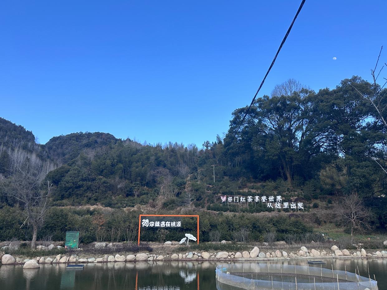 守护千年家族祭祀文化的传承者:专访国家级非遗传承人陈敦和-图片5