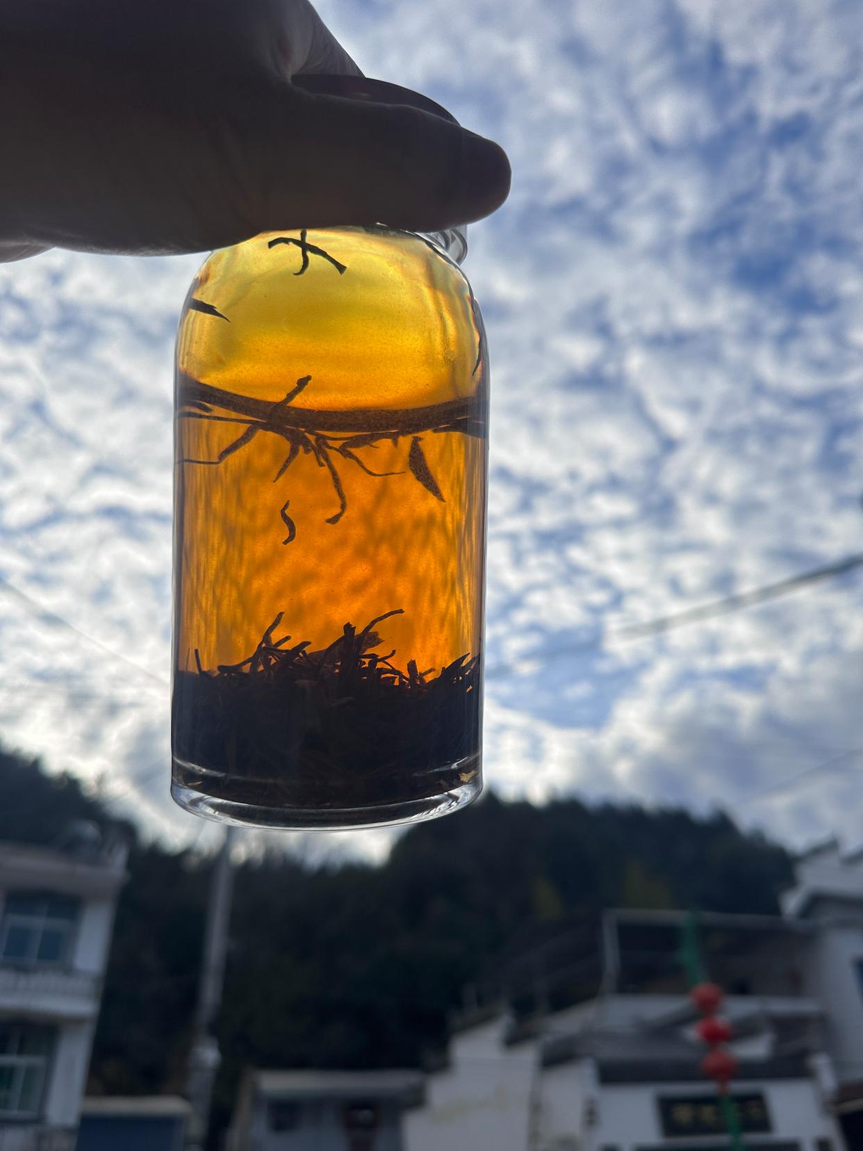 守护千年家族祭祀文化的传承者:专访国家级非遗传承人陈敦和-图片5