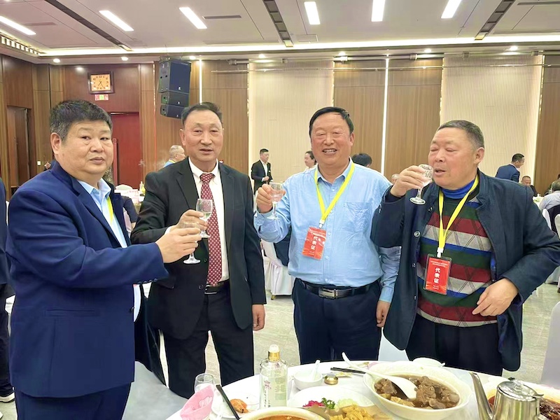 大阪相扑偶遇河南马氏-图片5