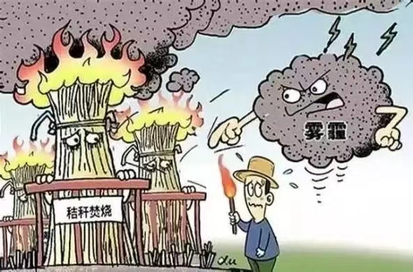 杜绝夏季“一把火”，严禁秸秆焚烧，太康县芝麻洼乡一直在坚守