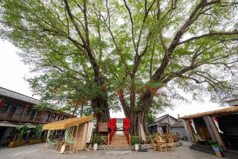 德阳旌阳区十强运营师驻村发力 五一旌乡联动点燃振兴引擎-图片7