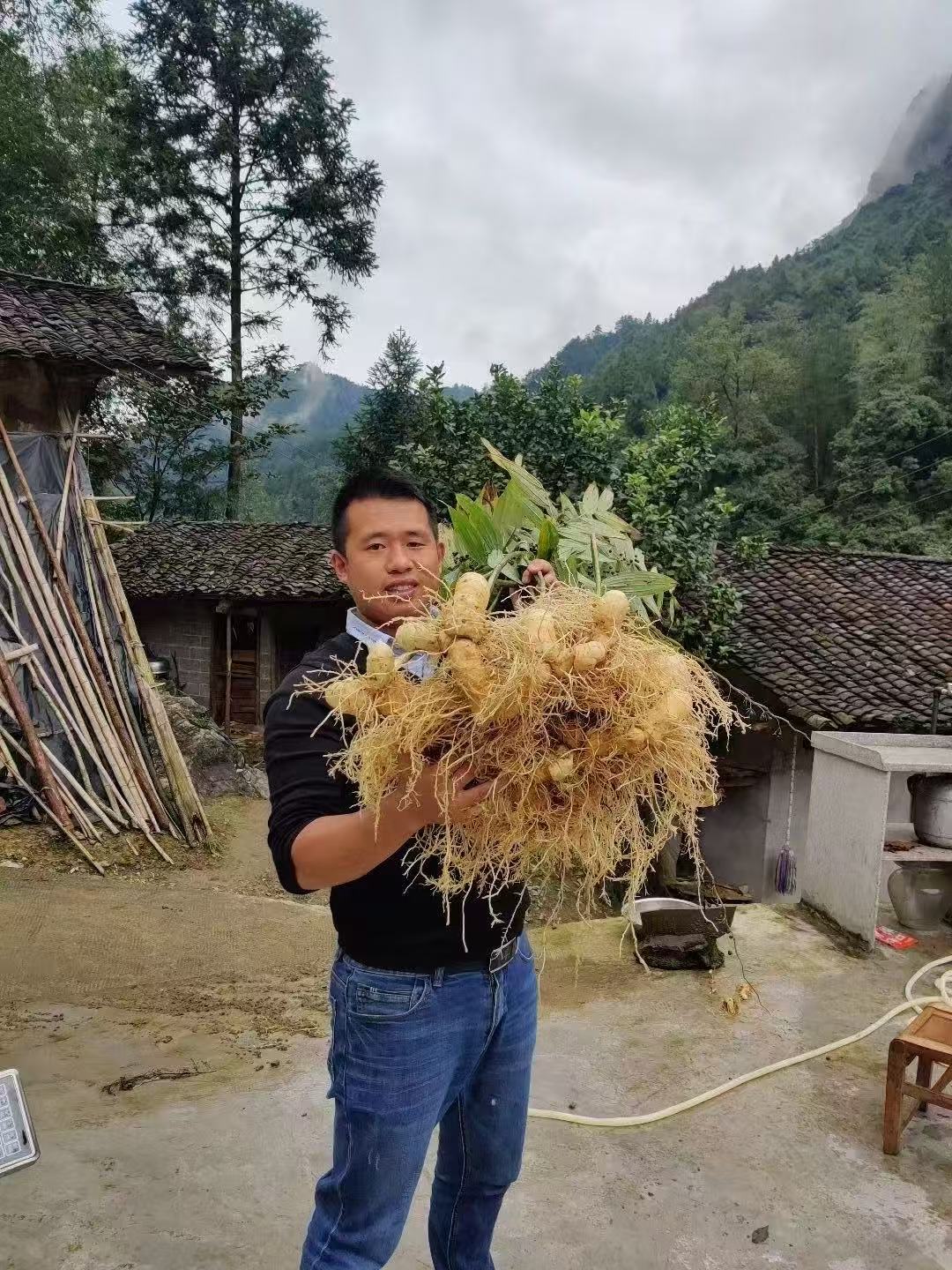 吴奇,青春在“黄精”岁月灼灼绽放