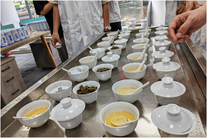 2025两岸茶匠秋季“茶王赛”11月北京启幕，全国启动会厦门圆满收官-图片4