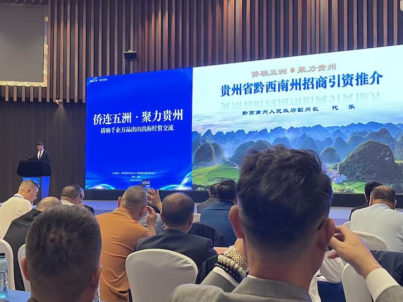 “侨联五洲·聚力贵州”2025海外侨团贵州联谊活动暨侨助千企万品出山出海行动在贵阳启动-图片7