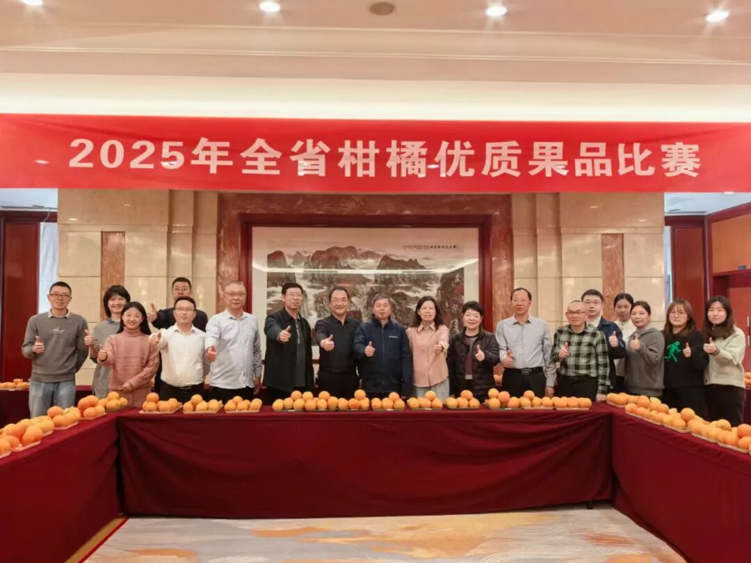 2025年度福建省柑橘优质果品比赛成功举办