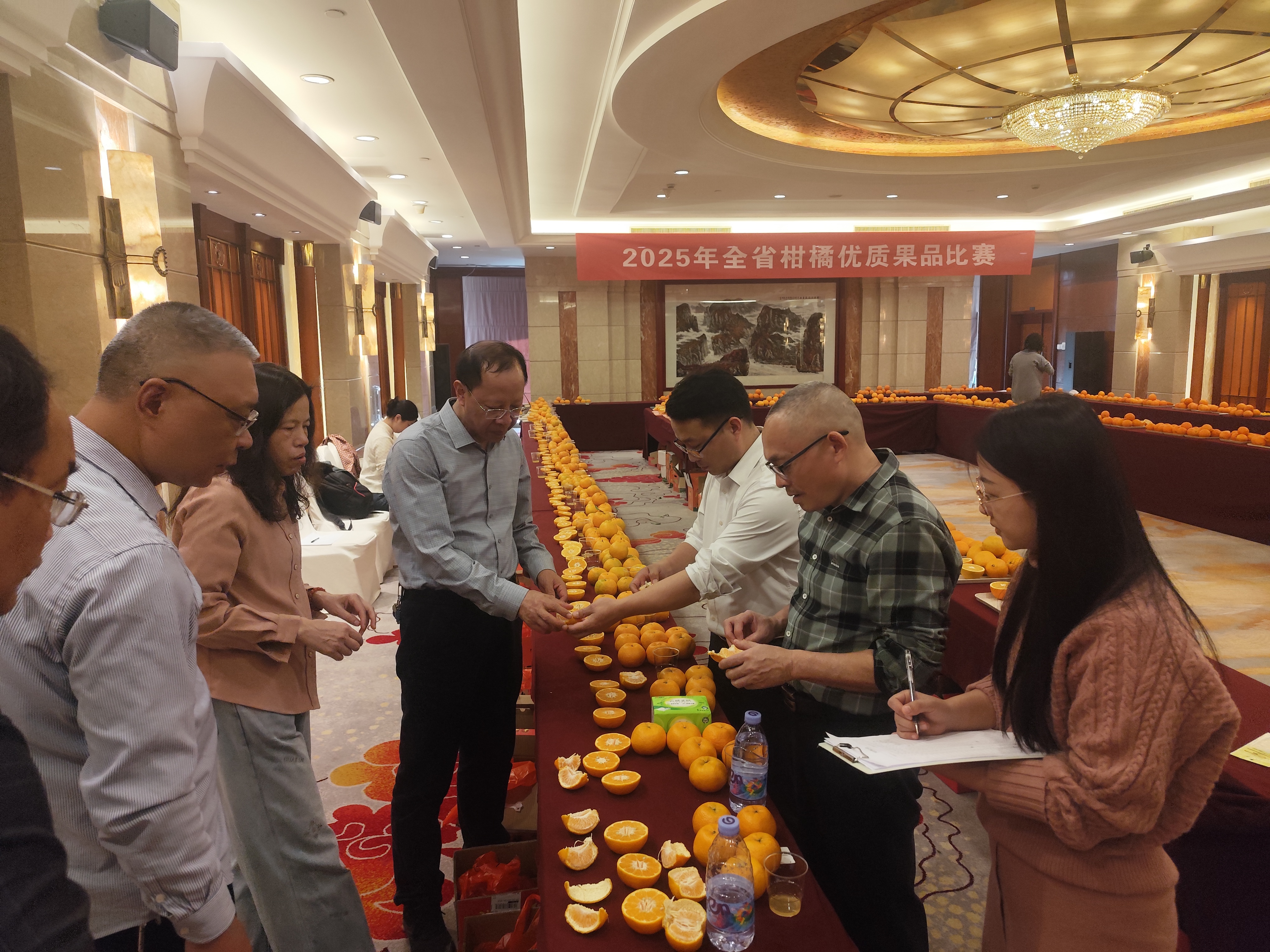 2025年度福建省柑橘优质果品比赛成功举办-图片2