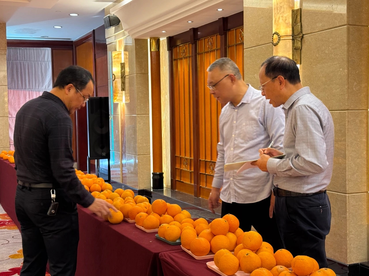 2025年度福建省柑橘优质果品比赛成功举办-图片3
