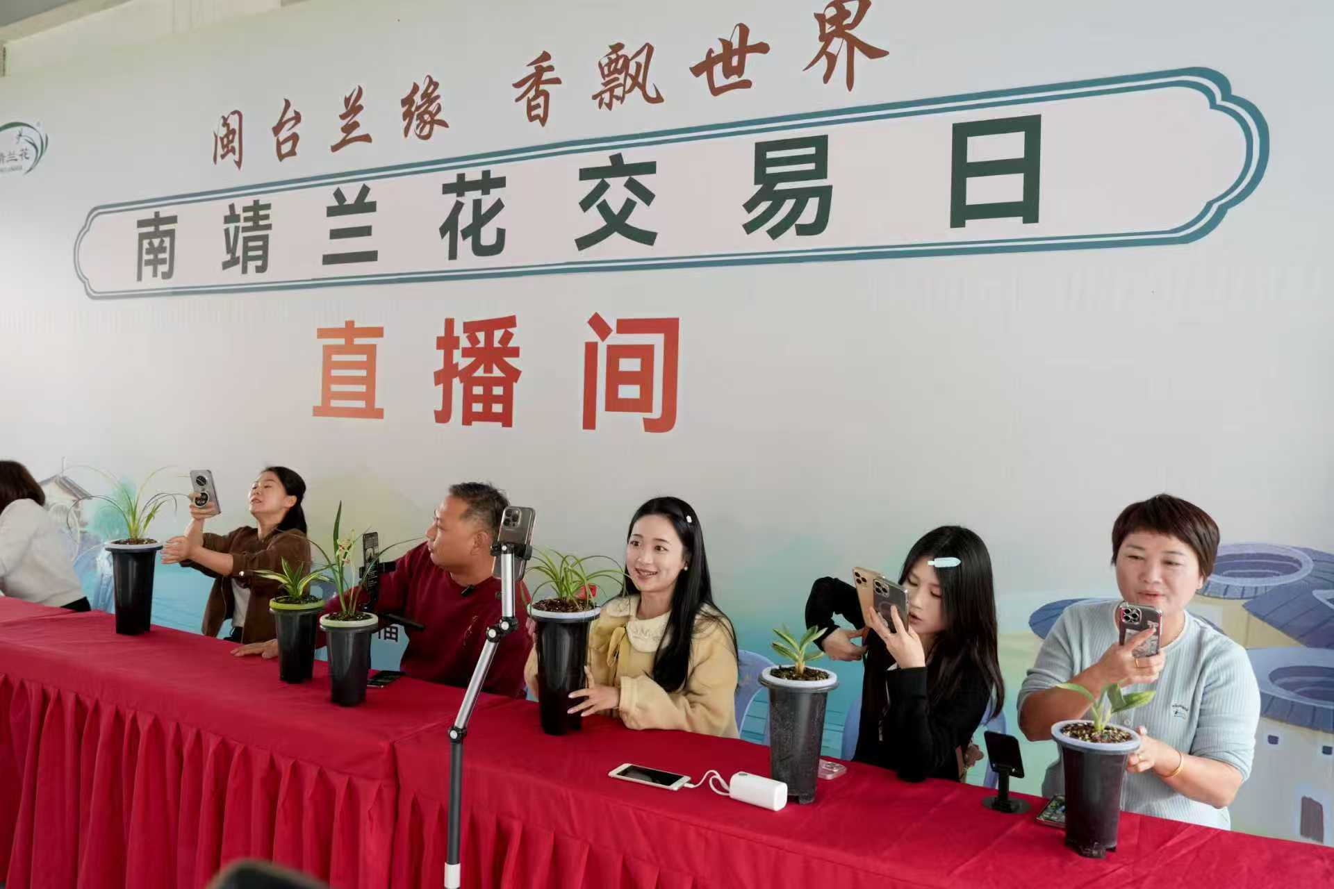 兰香漫城迎盛事 佳卉雅集启新篇 南靖兰花首次交易日启幕-图片3