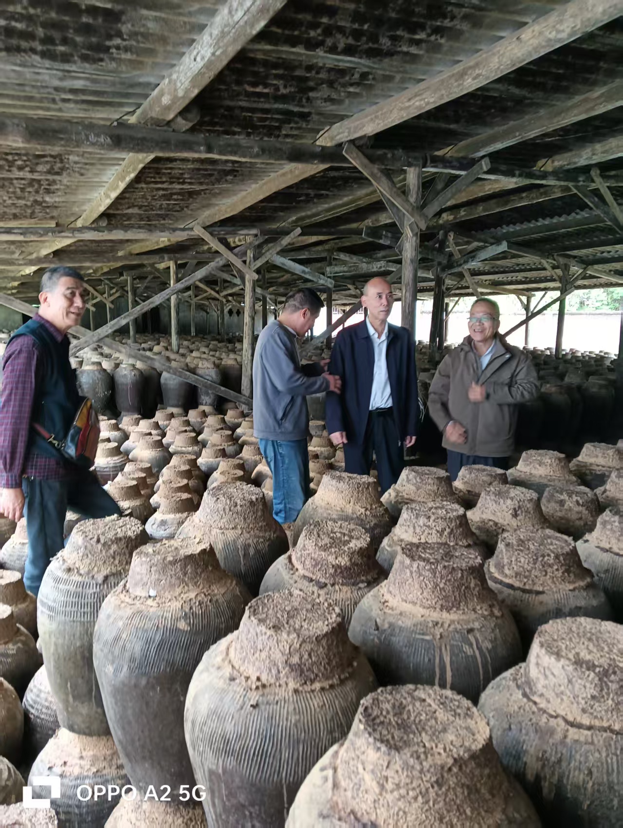 福建老酒品牌专委会2026年青红酒品牌文化科普活动在龙台山生态园举办 非遗酒香里探产业新篇-图片2