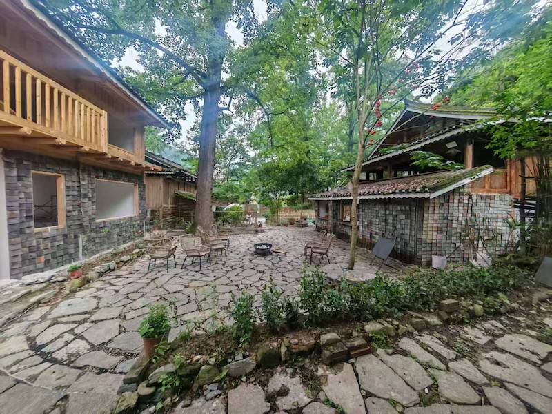大树聚-图片3