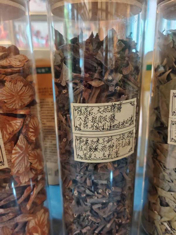 寻香记：在高华瑶寨，与一株草药的千年相遇-图片9
