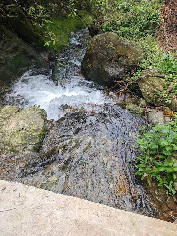 寻香记：在高华瑶寨，与一株草药的千年相遇-图片8