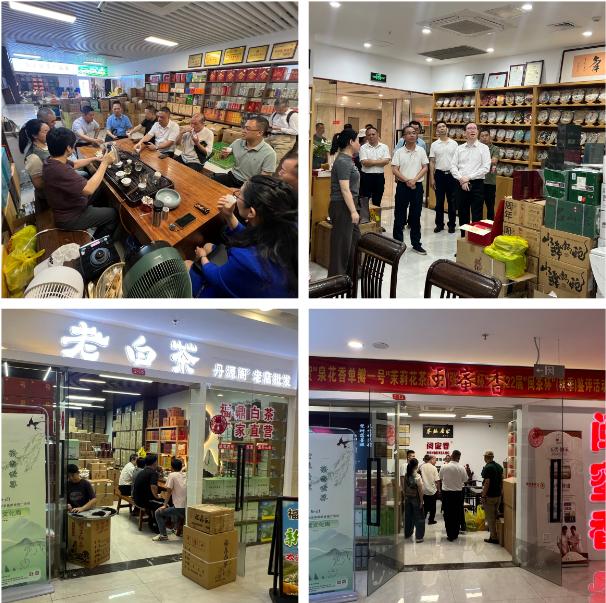 全球共饮 茶香世界——5·21国际茶日 福建公益品茗活动成功举办-图片7